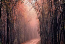 马洛卡输给瓦努斯，遭遇失利：从失望到重燃的三步法