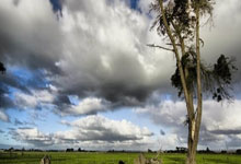 曼联拜仁慕尼黑瞄准球员，冬窗引援倒计时