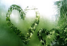 河南男篮殊死一战，成功迎来惊喜逆转