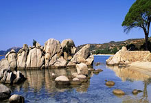 加拿大女足战胜挪威，取得四强入场券